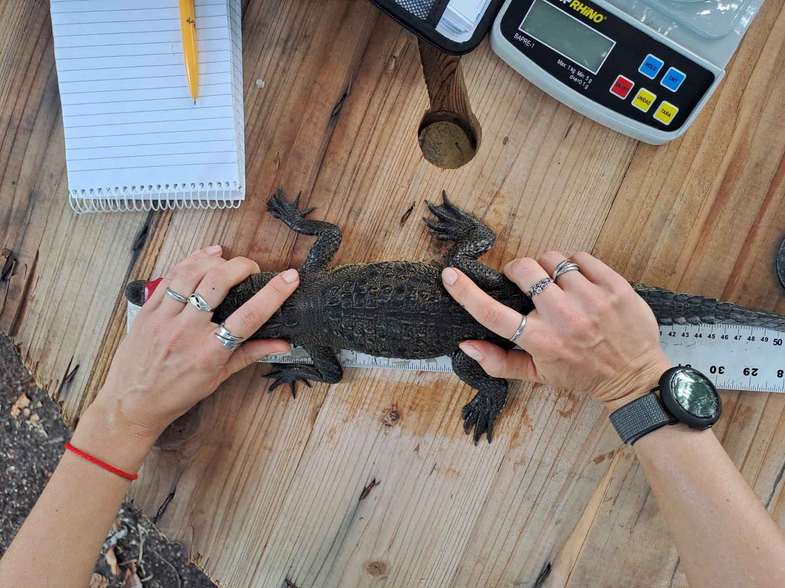 First weeks of testing