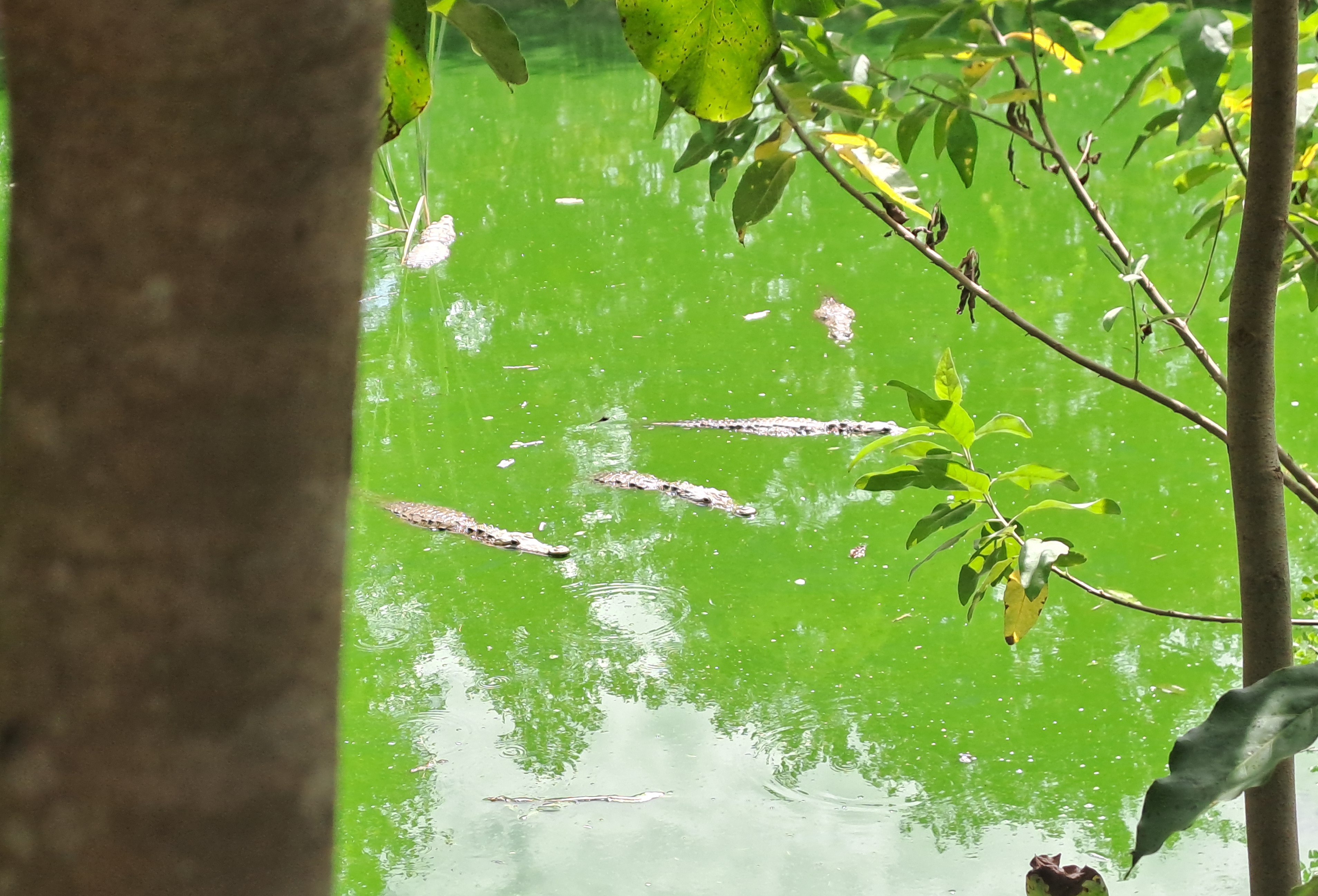 A new adventure begins: are you coming with us?