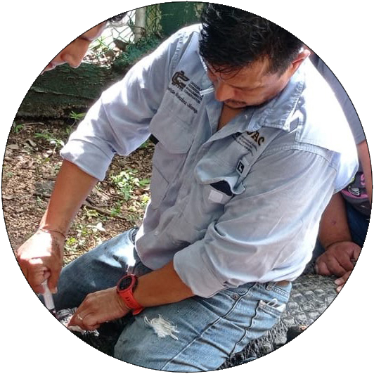 Mauricio González-Jáuregui